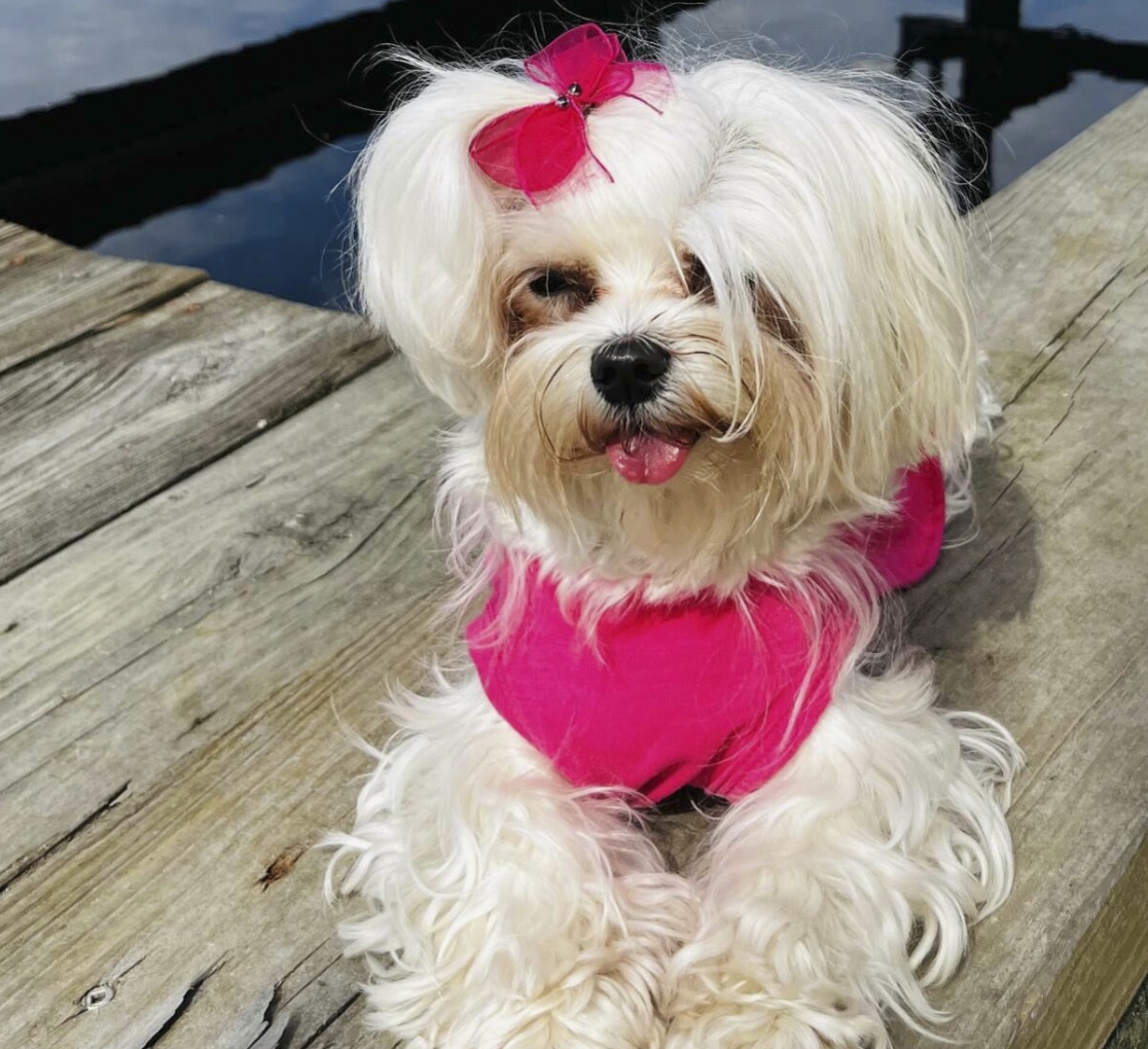 Lil' Dottie, Margaret Zahner's sidekick.