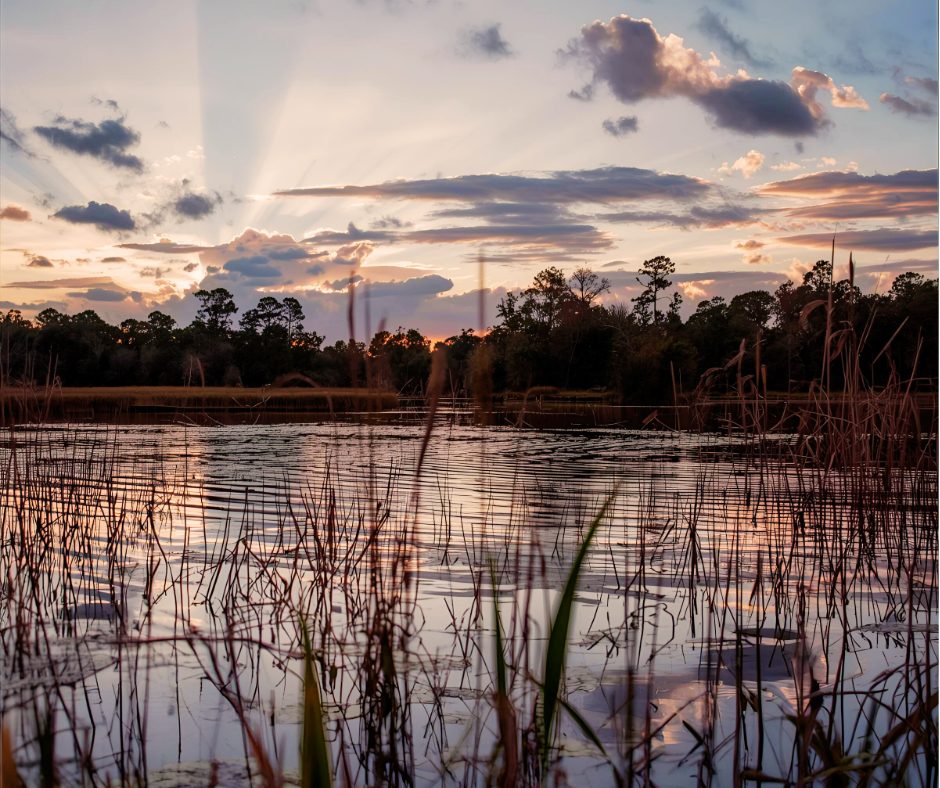 February in Putnam County Florida is idyllic and the weather is beautiful.